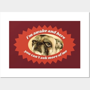 Tired Pug Funny Dog Design Posters and Art